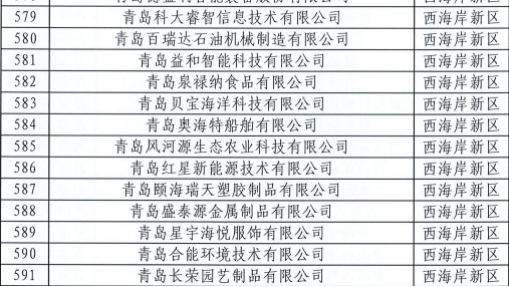 青島科大睿智信息技術(shù)有限公司-CMMI認(rèn)證