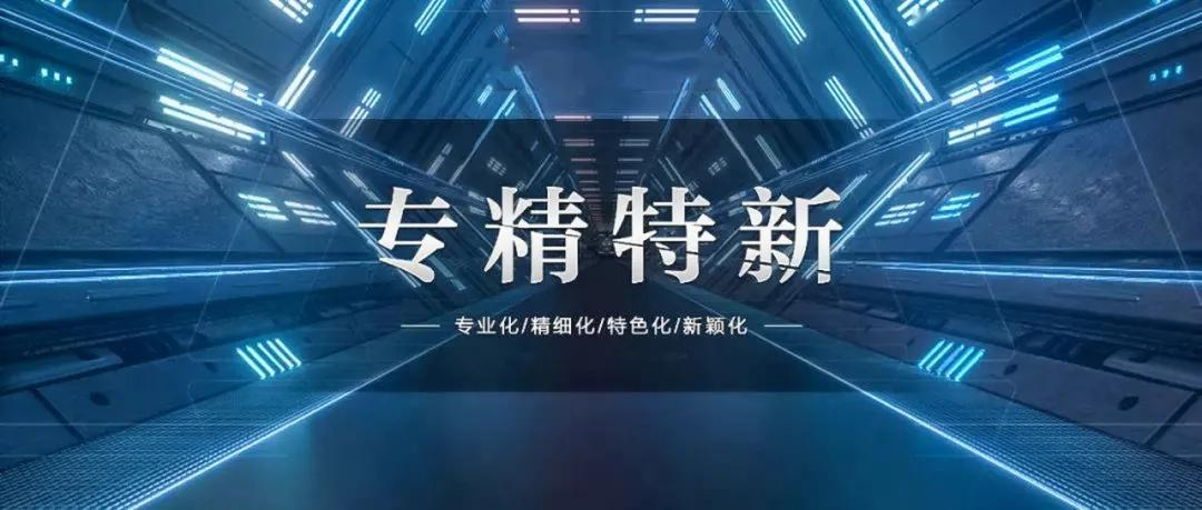 喜訊！熱烈祝賀我司榮獲青島市“專精特新”企業(yè)稱號