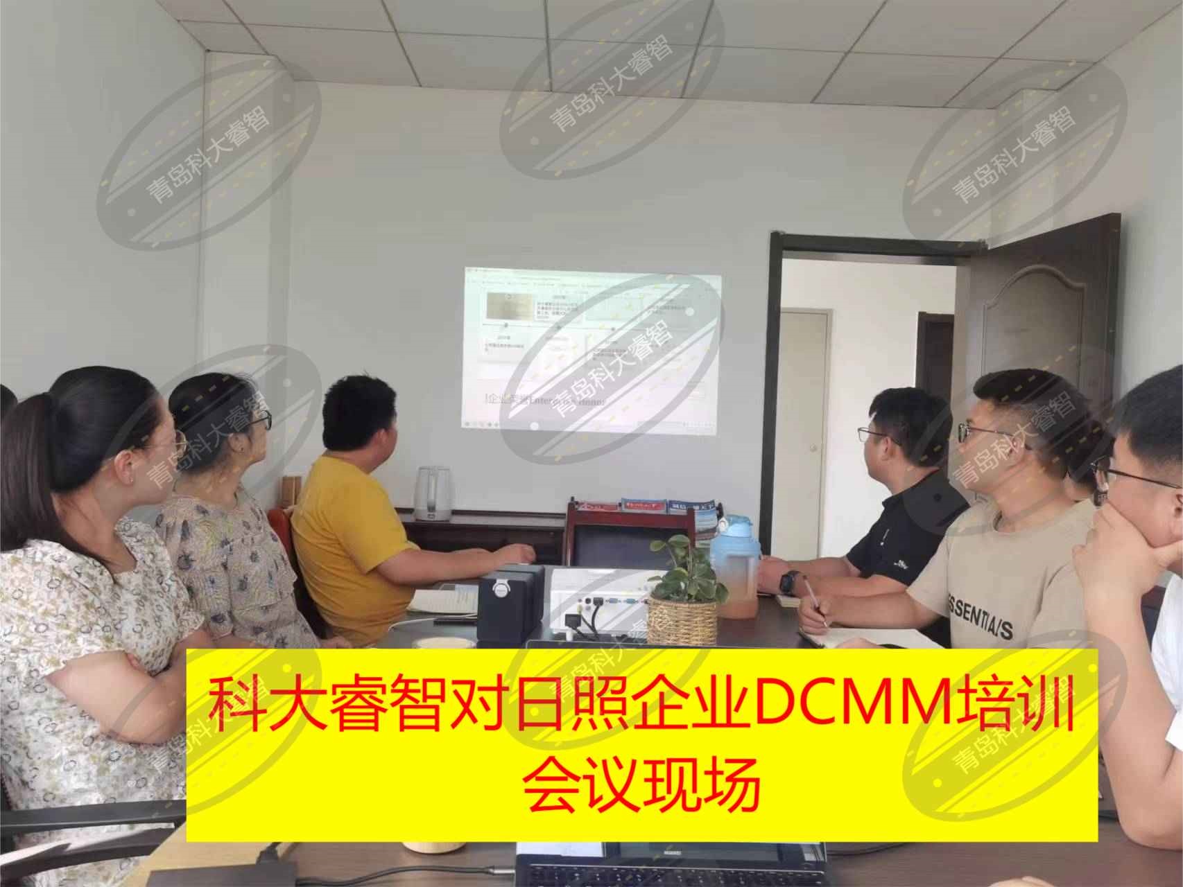 青島科大睿智與日照DCMM企業(yè)進(jìn)行培訓(xùn)